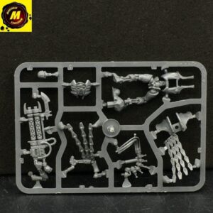 Royal Warden (NOS) - #18252