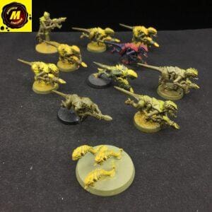 Termagants with Fleshborers (Previous Sculpts) (x12+1) - #126377