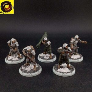 Mindtaker Miniatures - Mindtaker Miniatures - Mindtaker Miniatures - Vancouver, WA