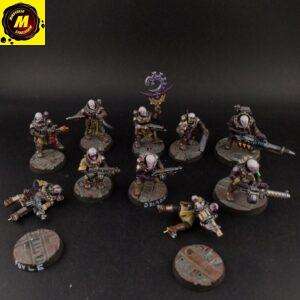 Neophyte Hybrids (x10) - #171897